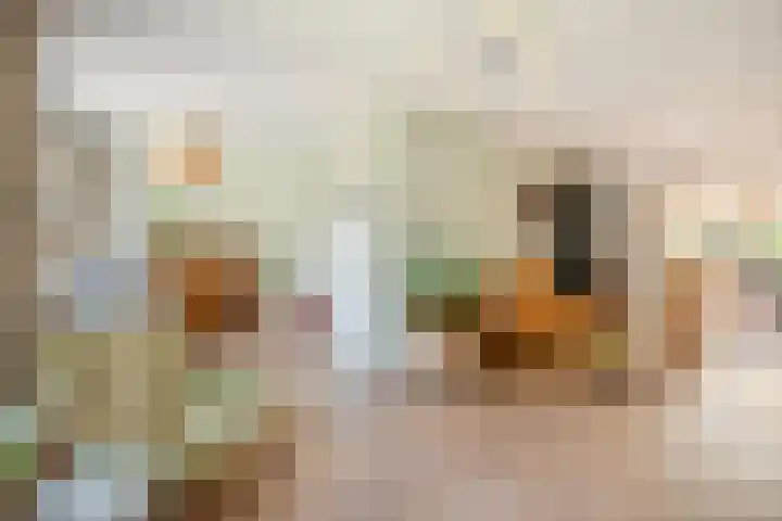 Duizendschoonstraat 35 Uden thumbnail 22