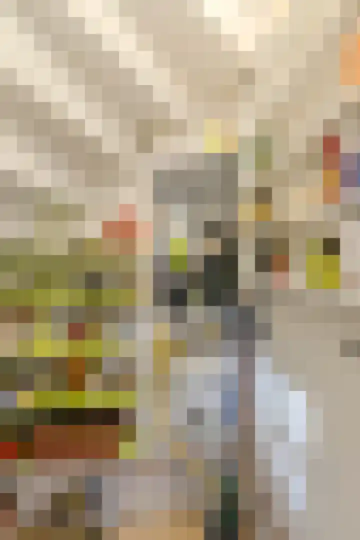Duizendschoonstraat 35 Uden thumbnail 32