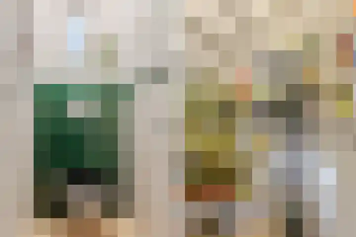 Duizendschoonstraat 35 Uden thumbnail 33