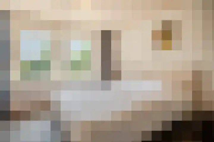 Duizendschoonstraat 35 Uden thumbnail 46