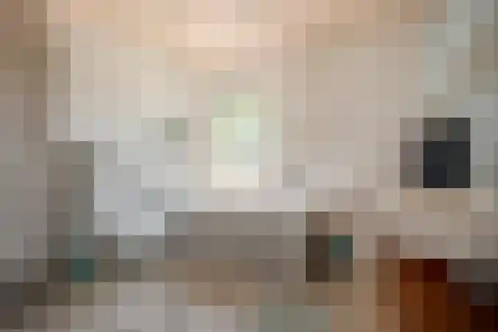 Duizendschoonstraat 35 Uden thumbnail 48