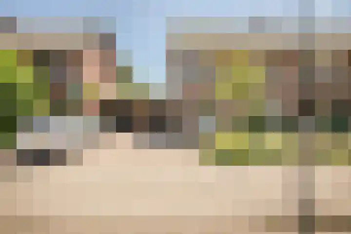 Duizendschoonstraat 35 Uden thumbnail 5