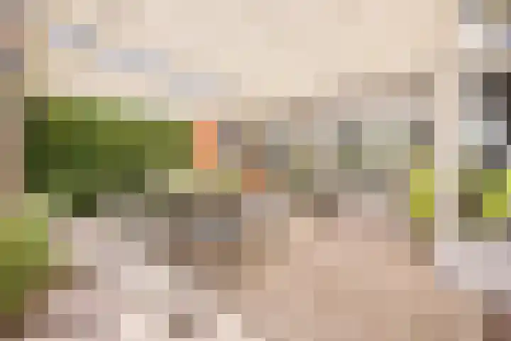 Duizendschoonstraat 35 Uden thumbnail 64