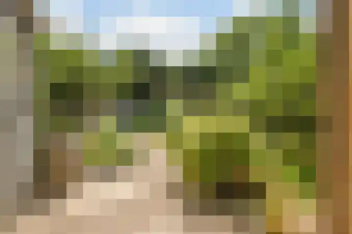 Duizendschoonstraat 35 Uden thumbnail 67