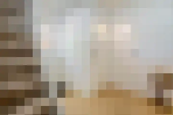 Duizendschoonstraat 35 Uden thumbnail 7
