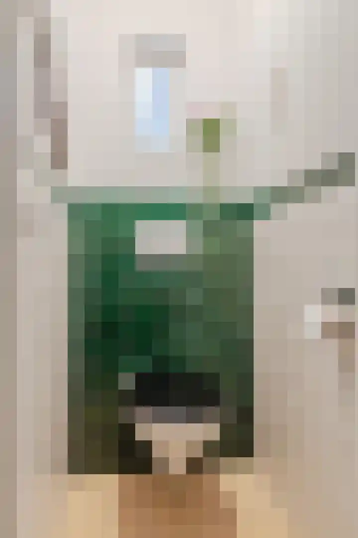 Duizendschoonstraat 35 Uden thumbnail 8