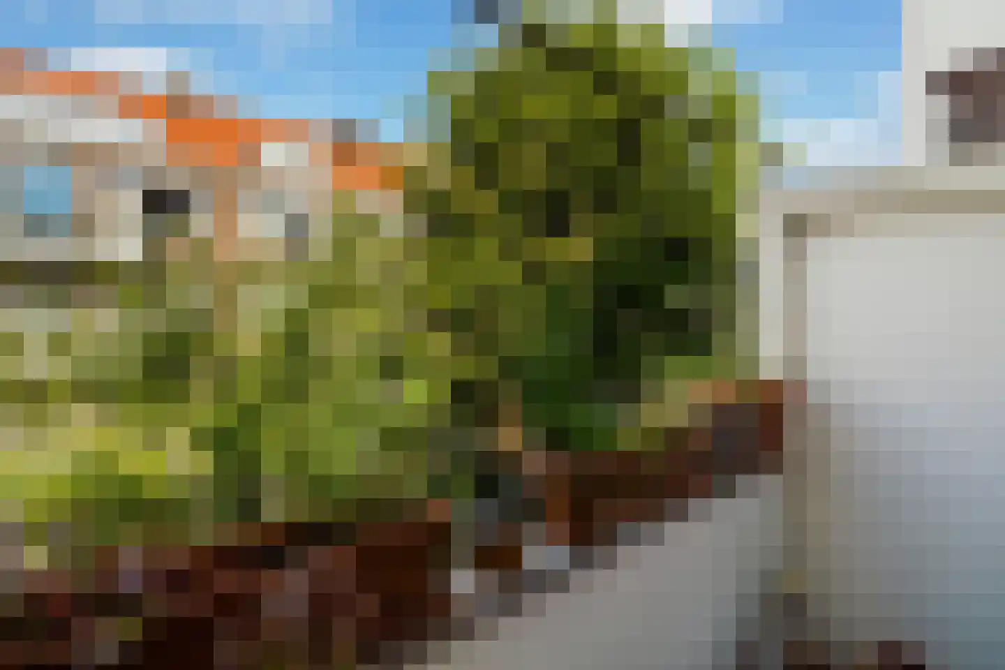 Duizendschoonstraat 37 B Rotterdam thumbnail 32