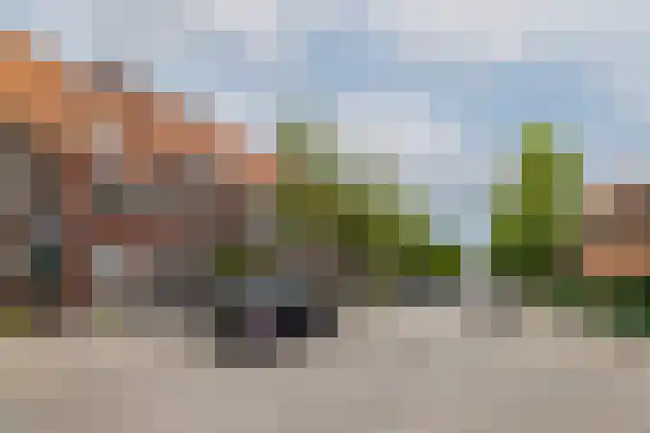 Duizendschoonstraat 41 C Rotterdam thumbnail 45