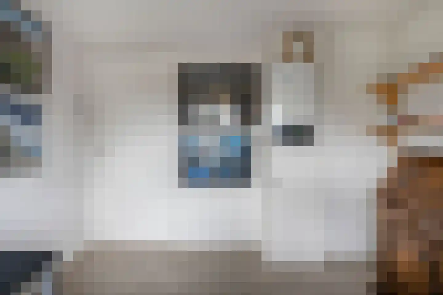 Duizendschoonstraat 51 Uden thumbnail 26