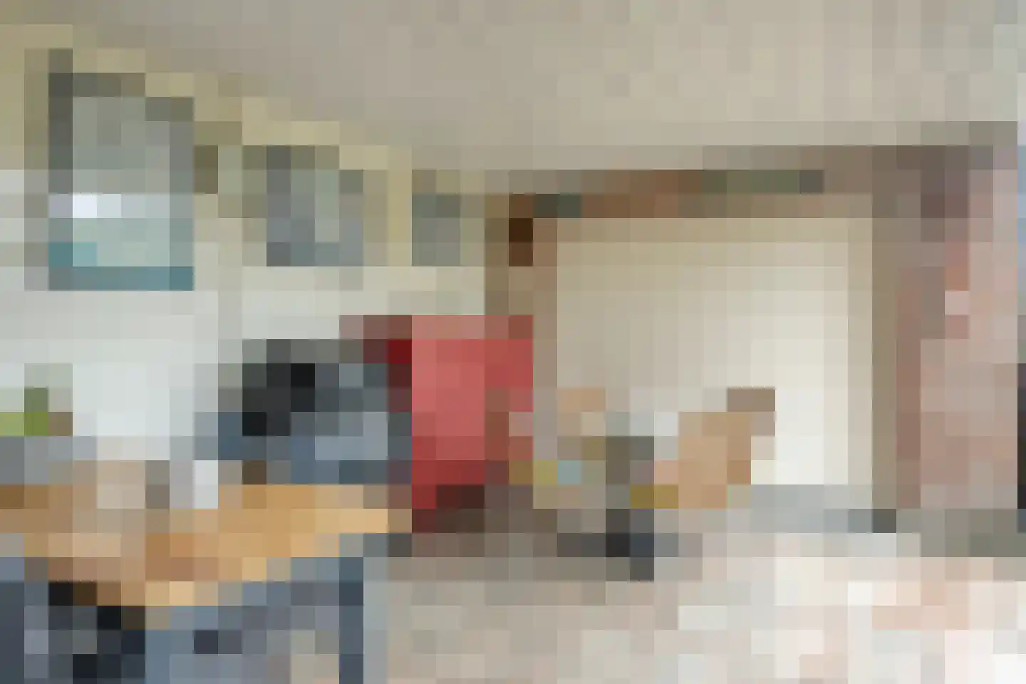 Duizendschoonstraat 51 Uden thumbnail 30