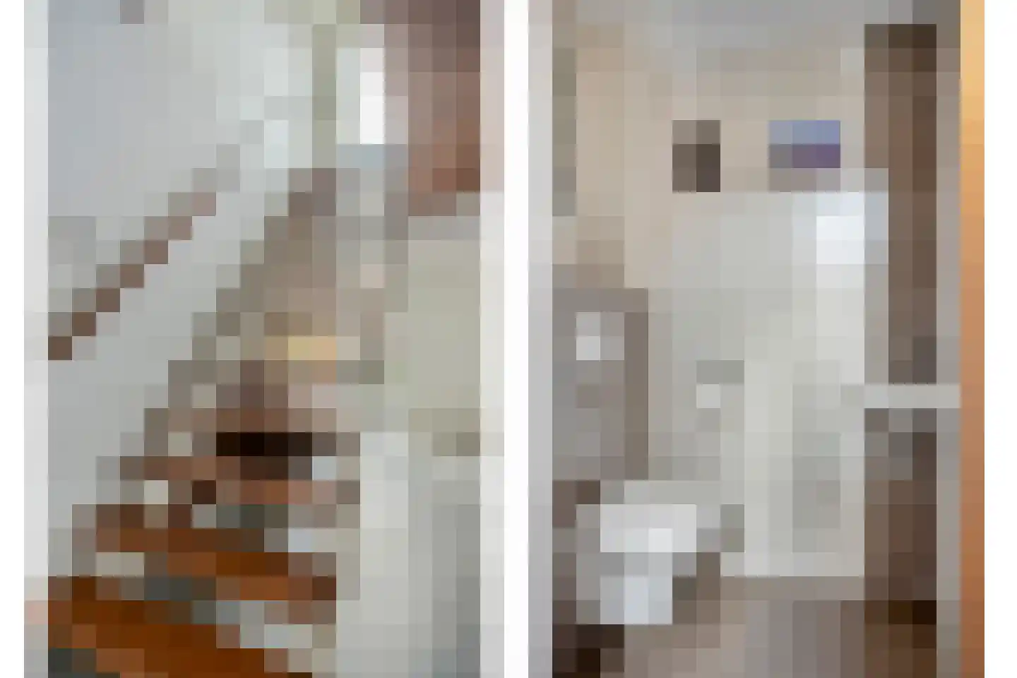 Duizendschoonstraat 51 Uden thumbnail 8