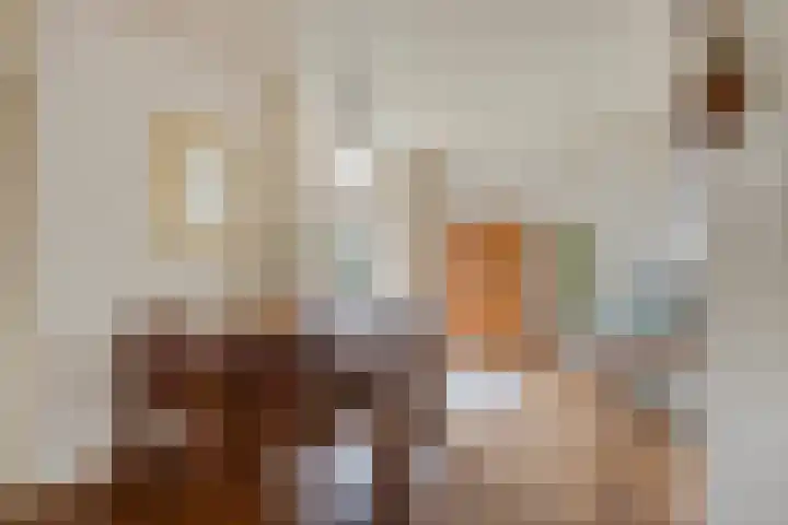 Duizendschoonstraat 52 Uden thumbnail 12