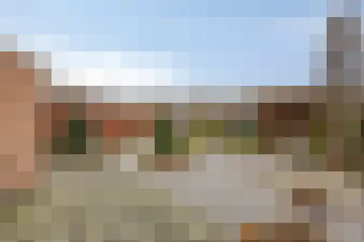 Duizendschoonstraat 52 Uden thumbnail 41