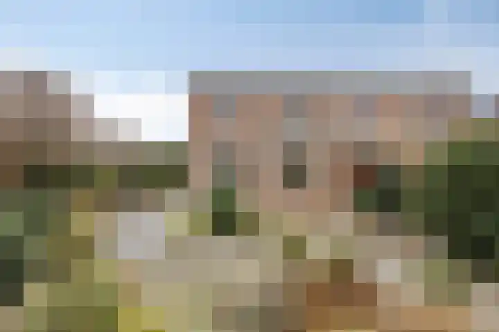 Duizendschoonstraat 52 Uden thumbnail 49