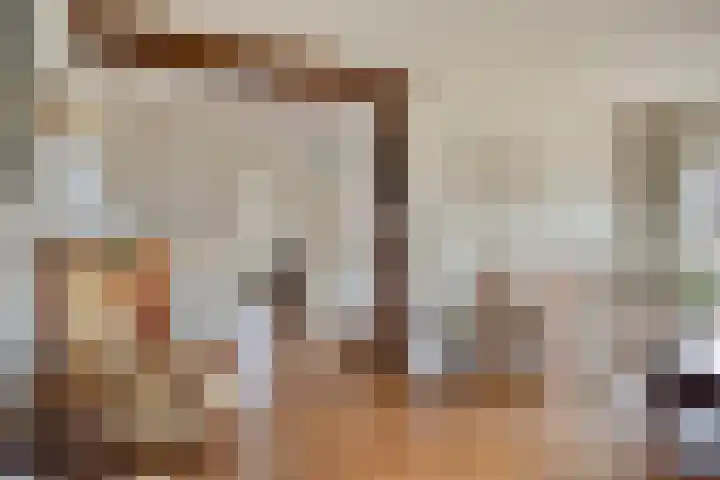Duizendschoonstraat 52 Uden thumbnail 8
