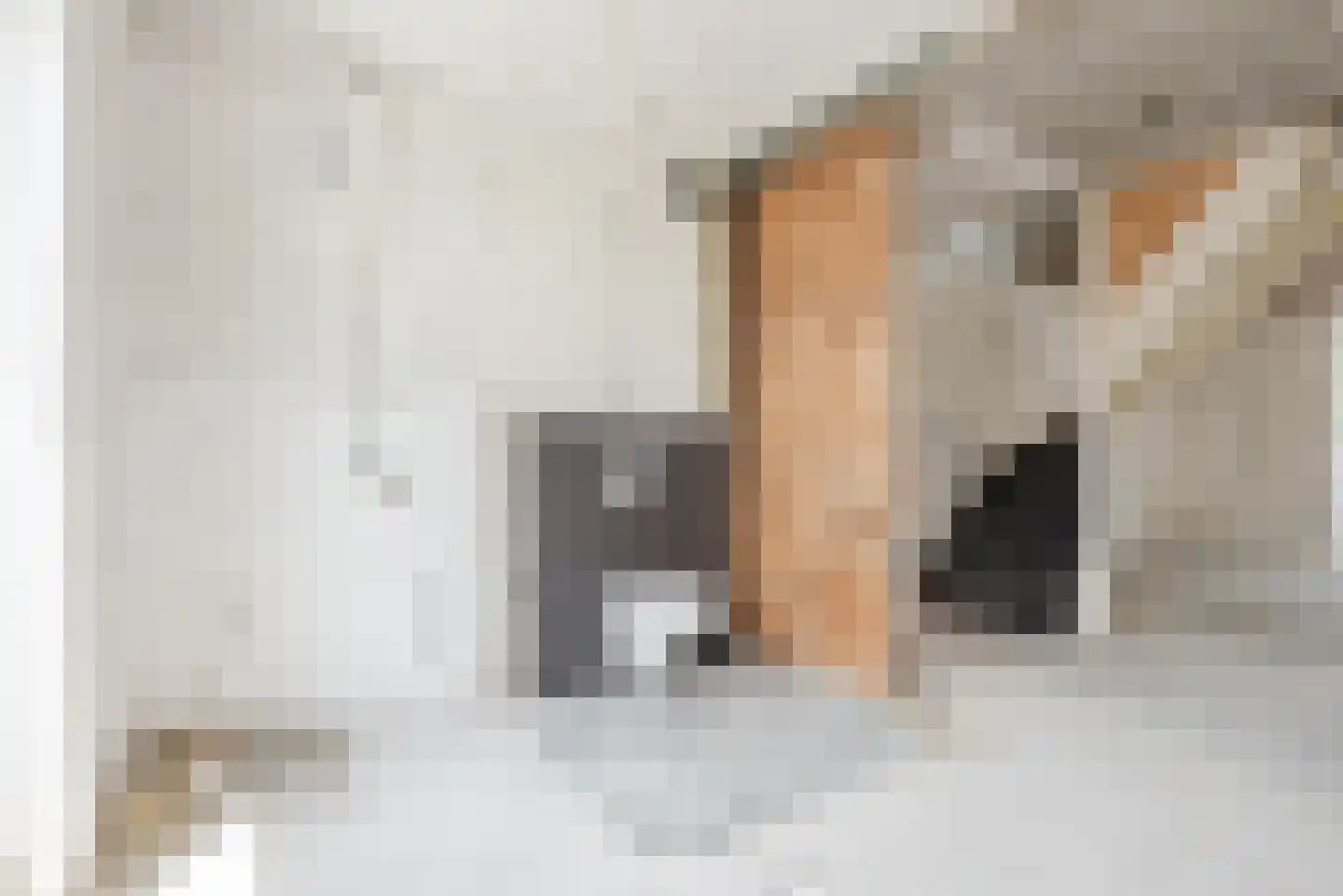Dukaat 106 Dronten thumbnail 11