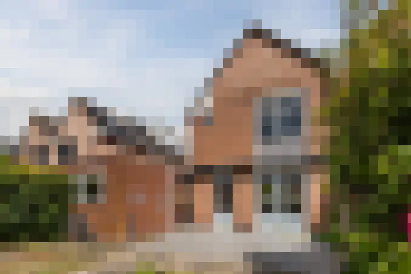 Dukaat 106 Dronten thumbnail 27