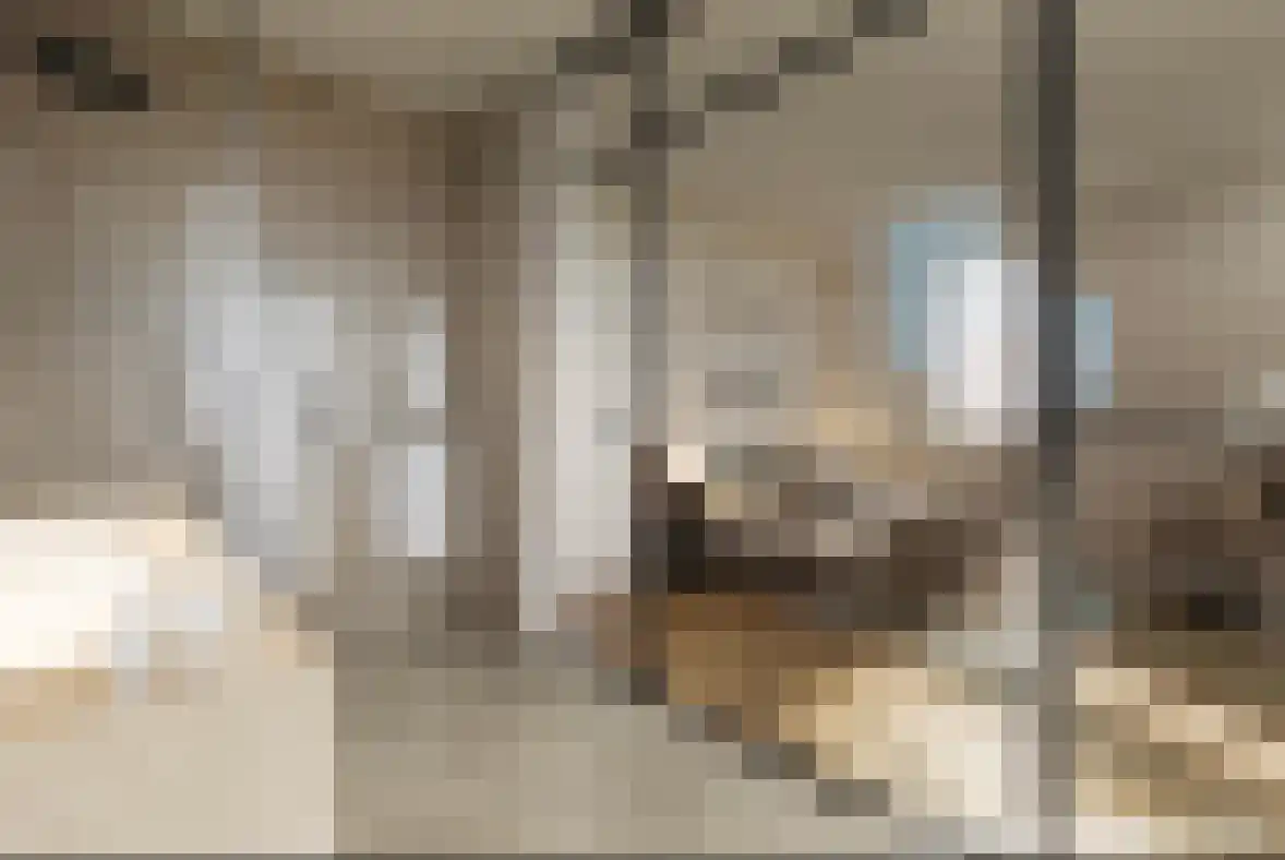 Dukaat 106 Dronten thumbnail 33