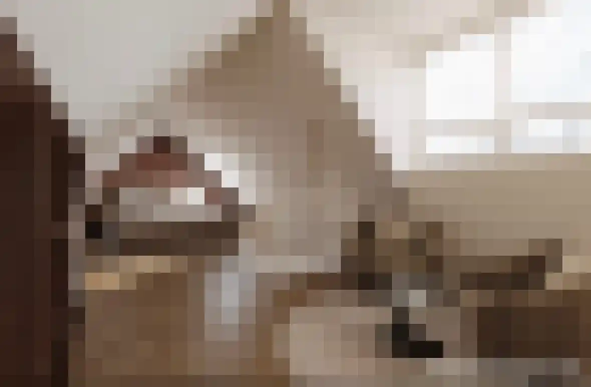 Dukaat 106 Dronten thumbnail 35