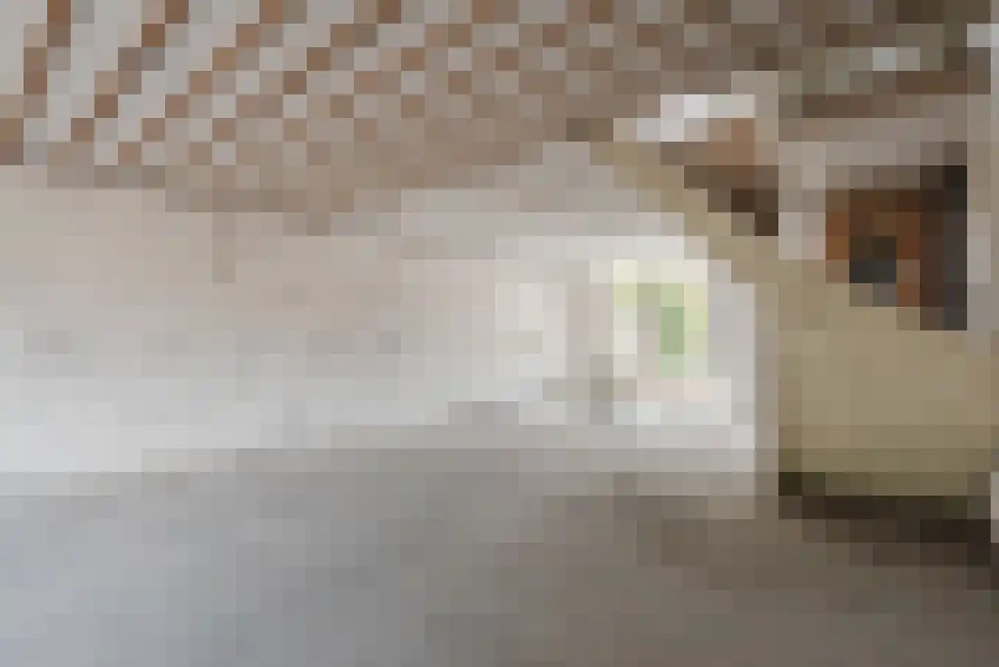 Dukaat 106 Dronten thumbnail 7