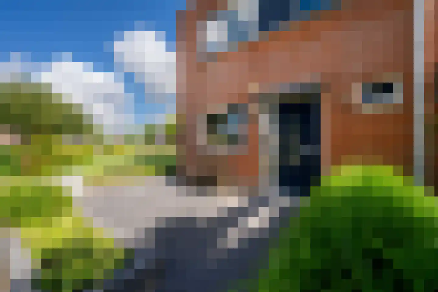 Dukaat 18 Dronten thumbnail 7