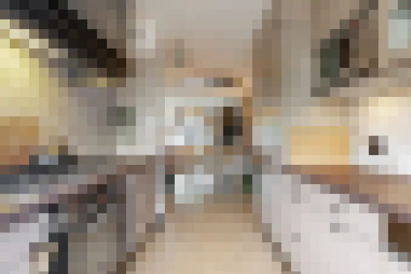 Dukaat 30 Hoorn thumbnail 13