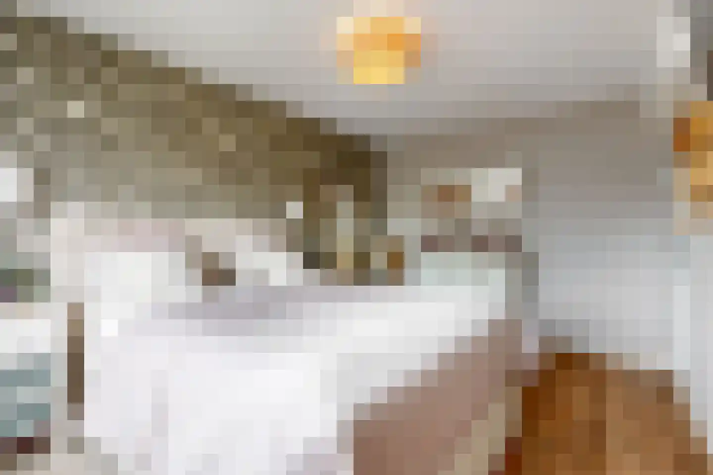 Dukaat 30 Hoorn thumbnail 18