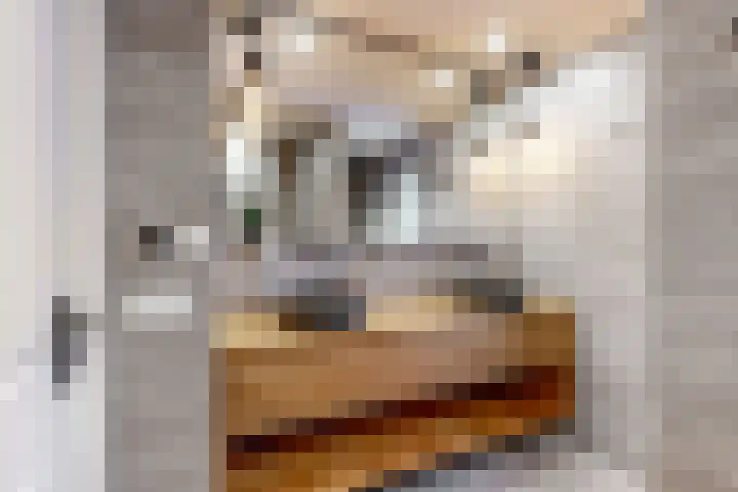 Dukaat 30 Hoorn thumbnail 23