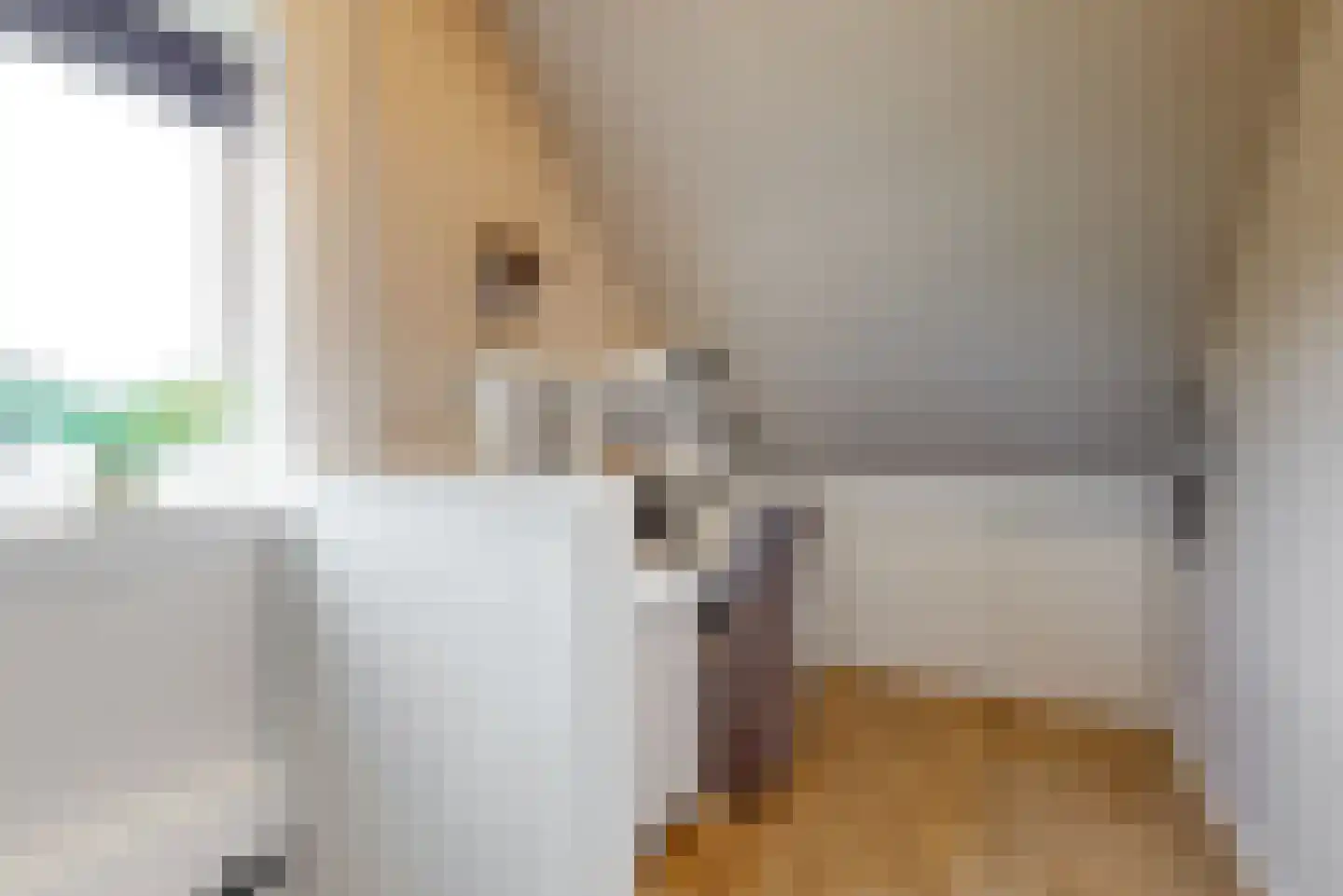 Dukaat 30 Hoorn thumbnail 25