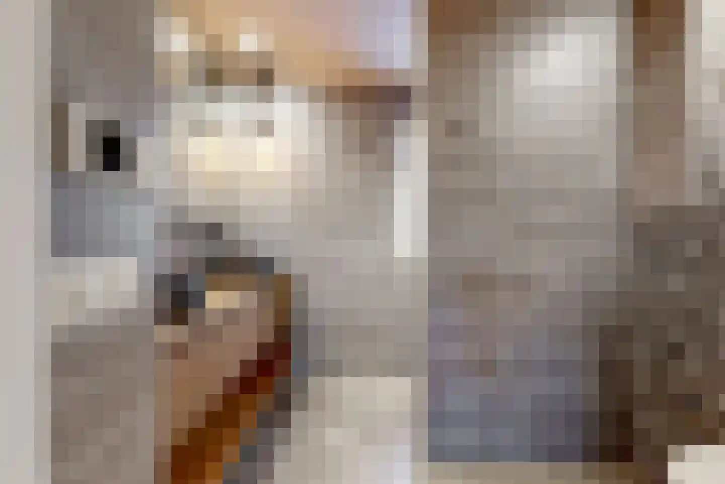 Dukaat 30 Hoorn thumbnail 4