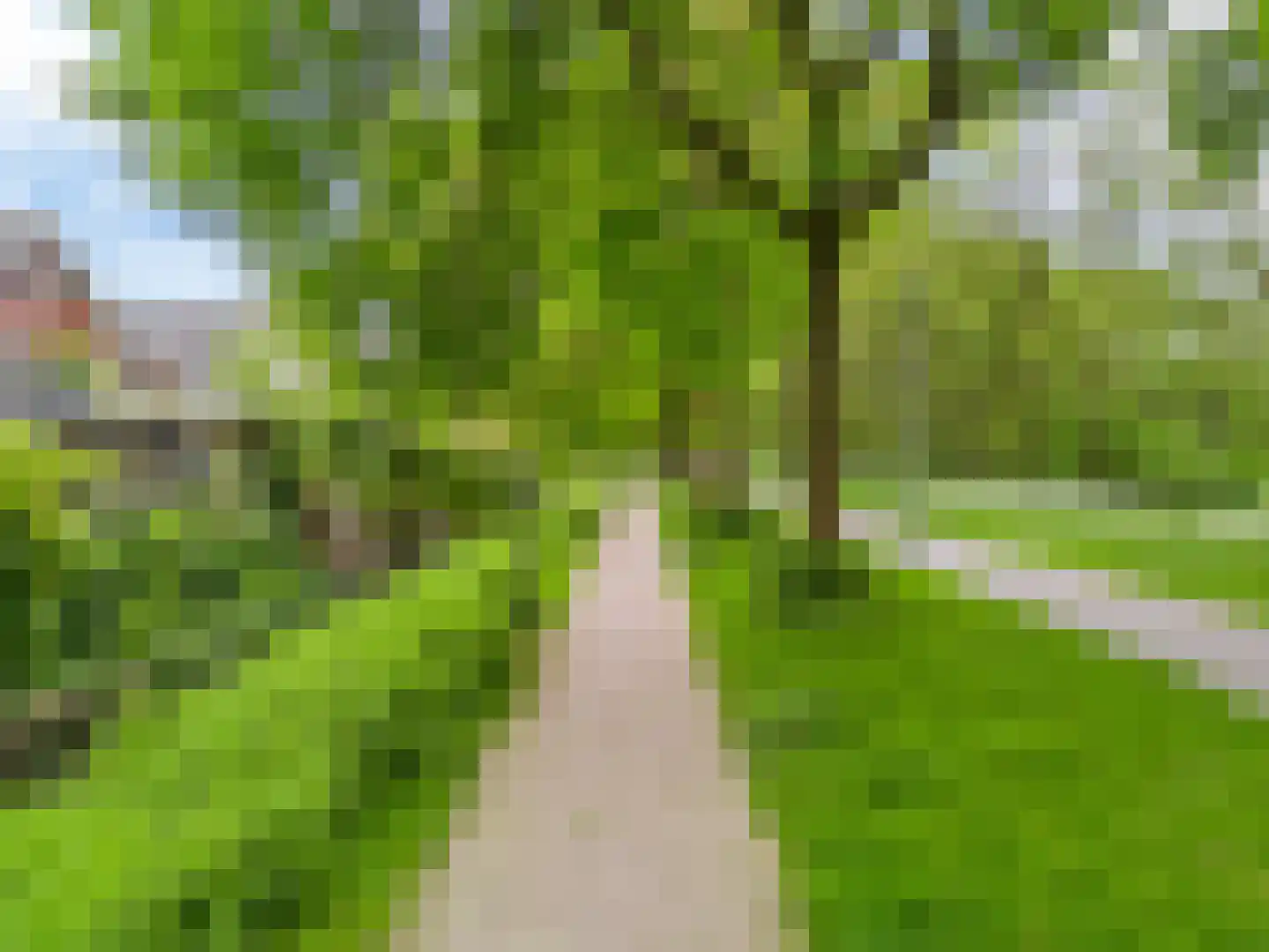 Dukaat 30 Hoorn thumbnail 40