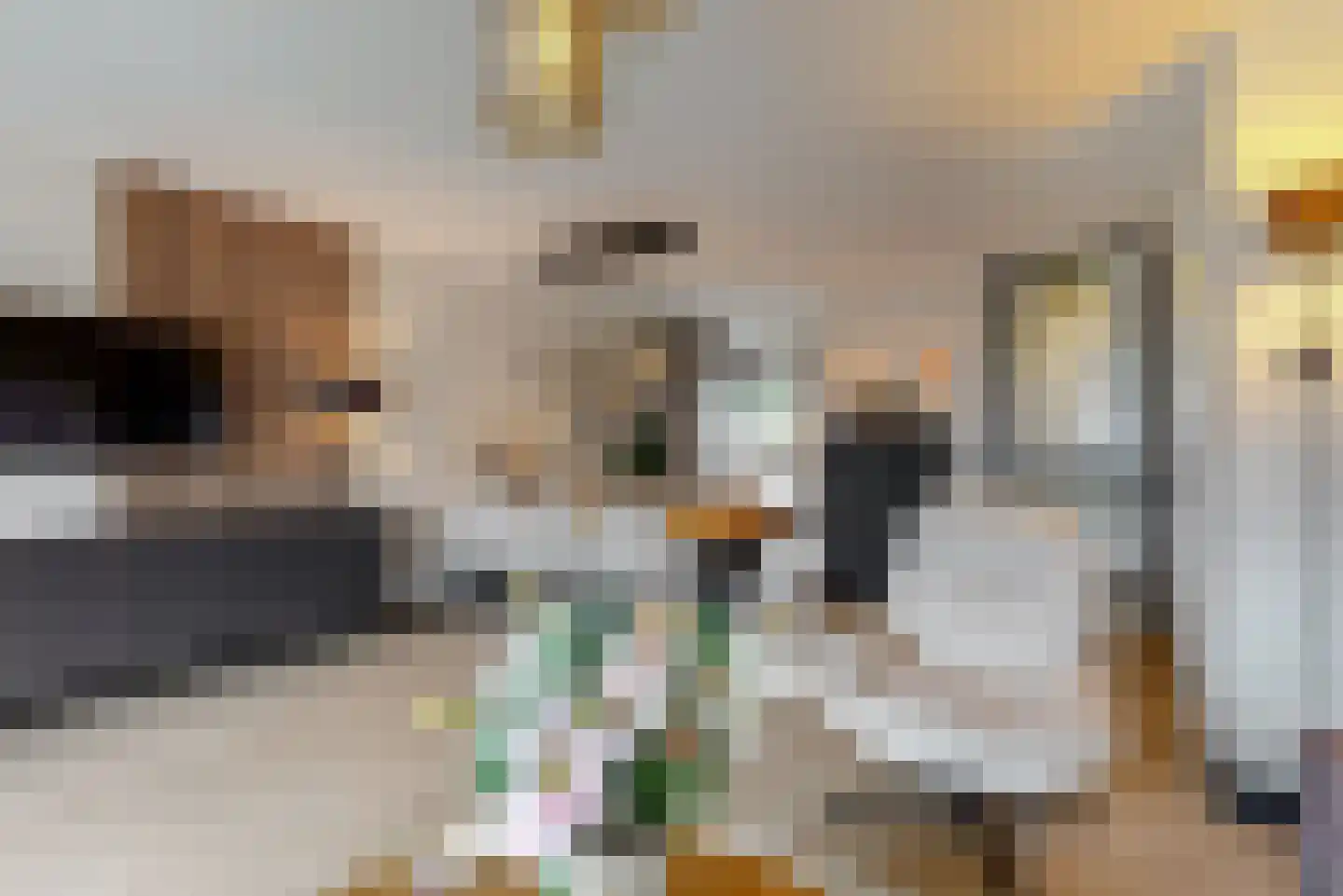 Dukaat 30 Hoorn thumbnail 6