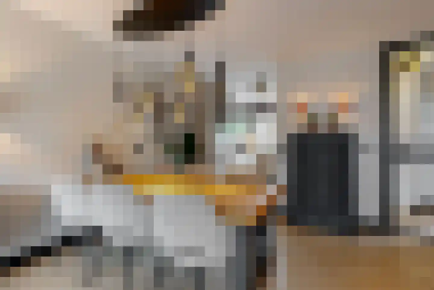 Dukaat 30 Hoorn thumbnail 7