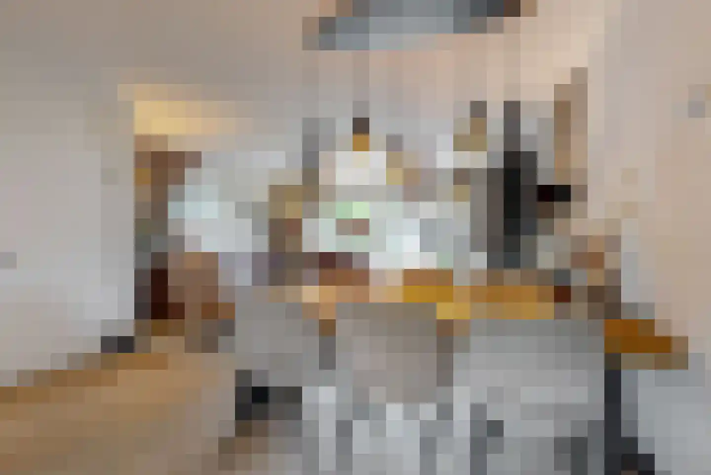 Dukaat 30 Hoorn thumbnail 8