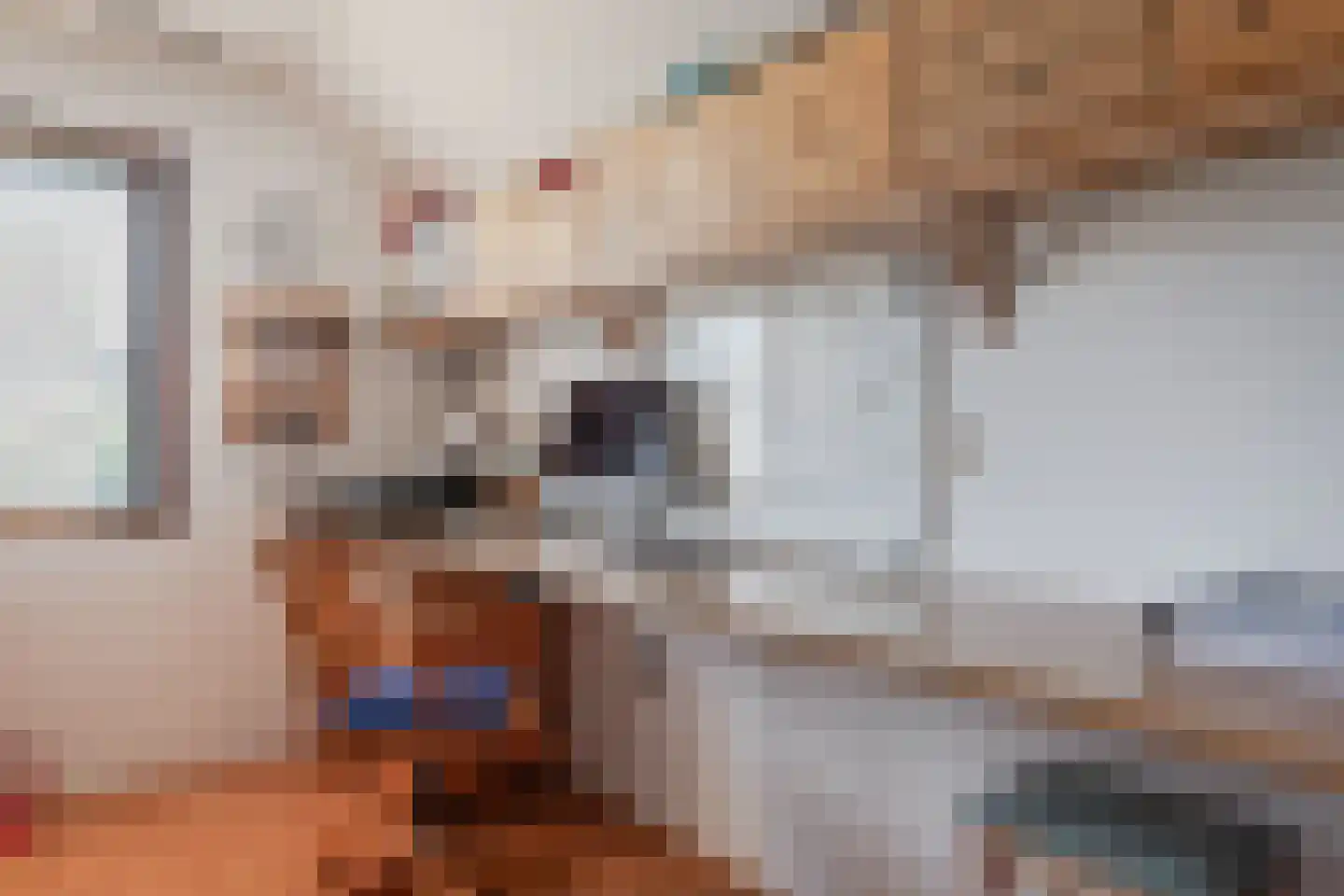Dukaat 35 Hoorn thumbnail 25