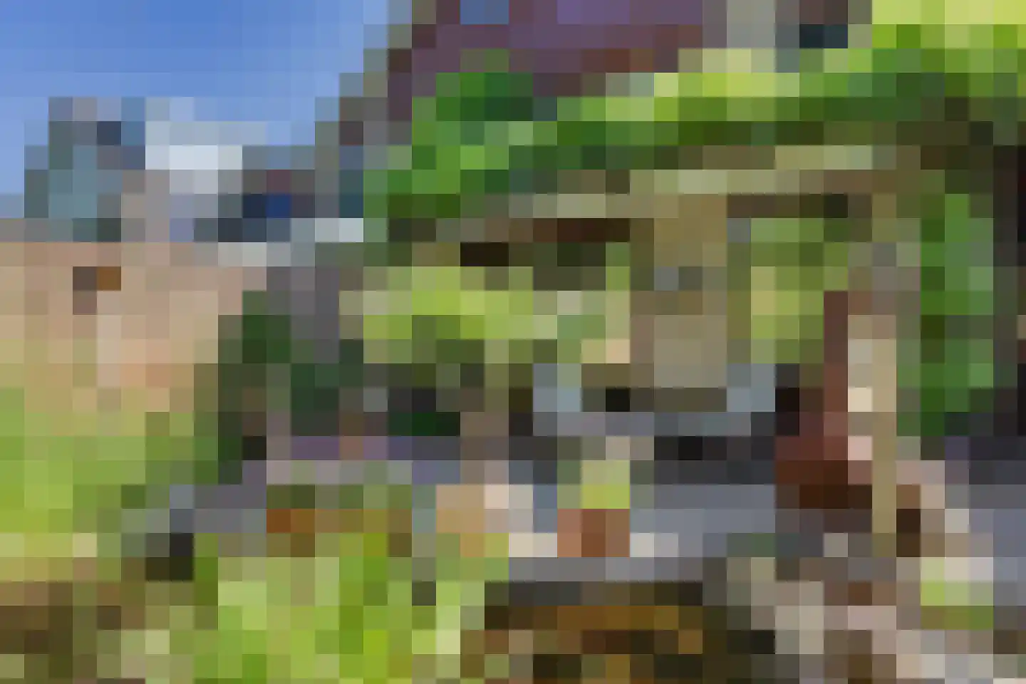 Dukaat 35 Hoorn thumbnail 33