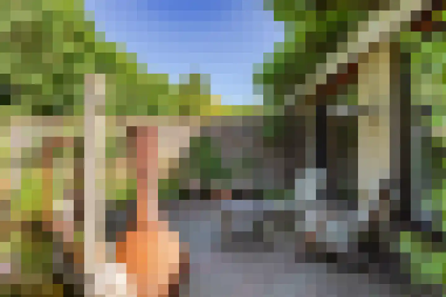 Dukaat 35 Hoorn thumbnail 34