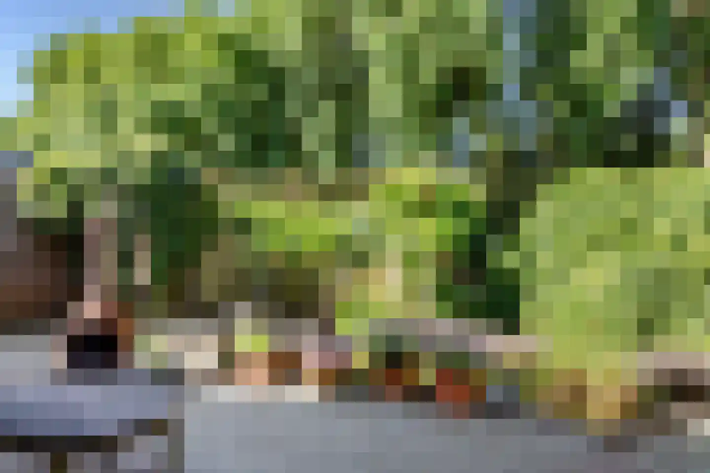 Dukaat 35 Hoorn thumbnail 36