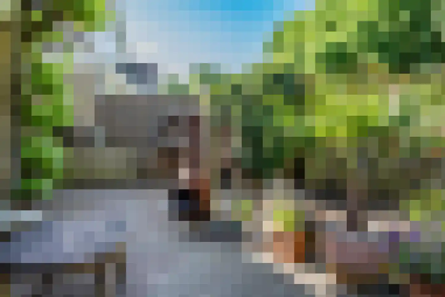 Dukaat 35 Hoorn thumbnail 37