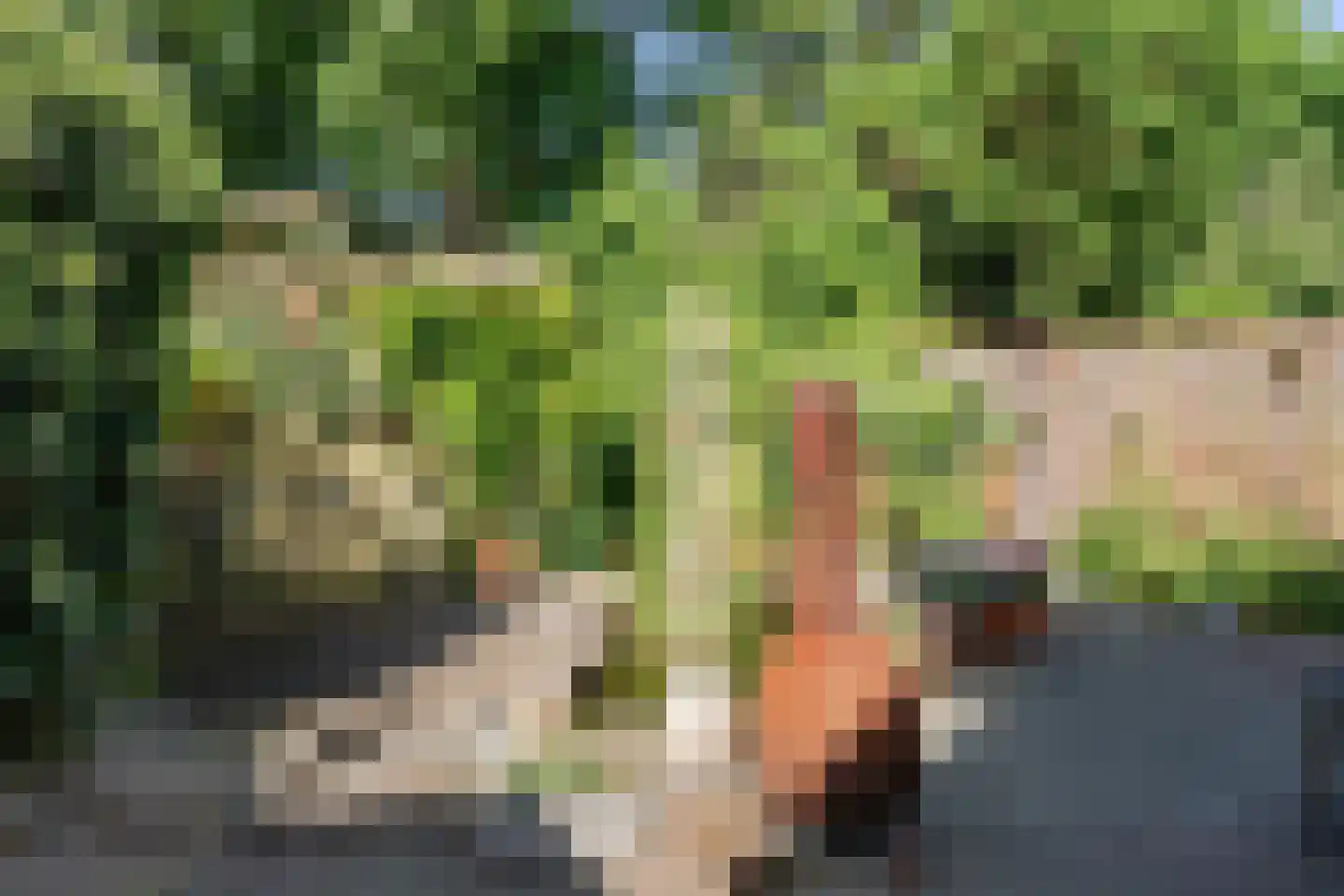 Dukaat 35 Hoorn thumbnail 39