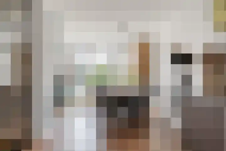 Dukaat 37 Hoorn thumbnail 12