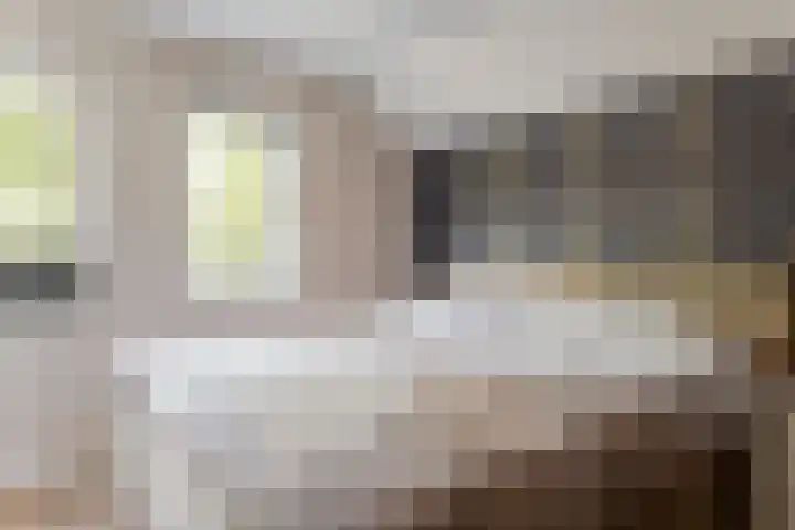 Dukaat 37 Hoorn thumbnail 27