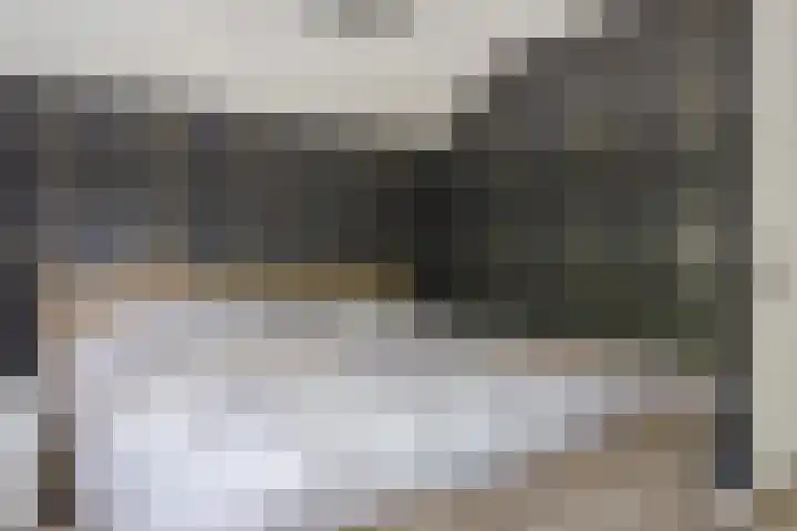 Dukaat 37 Hoorn thumbnail 28