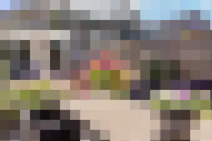 Dukaat 37 Hoorn thumbnail 34