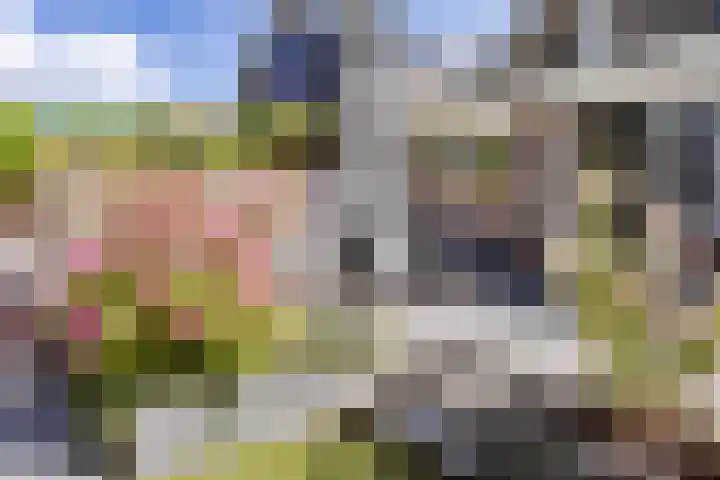 Dukaat 37 Hoorn thumbnail 35