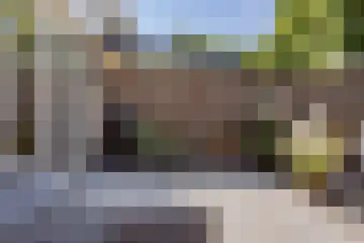 Dukaat 37 Hoorn thumbnail 37