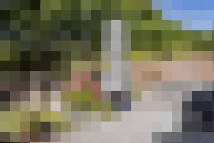 Dukaat 37 Hoorn thumbnail 38