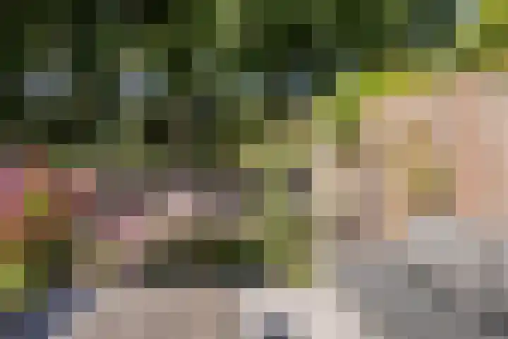 Dukaat 37 Hoorn thumbnail 39