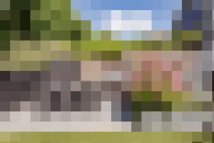 Dukaat 37 Hoorn thumbnail 40