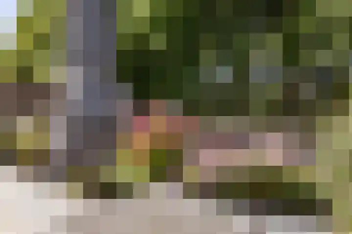 Dukaat 37 Hoorn thumbnail 41